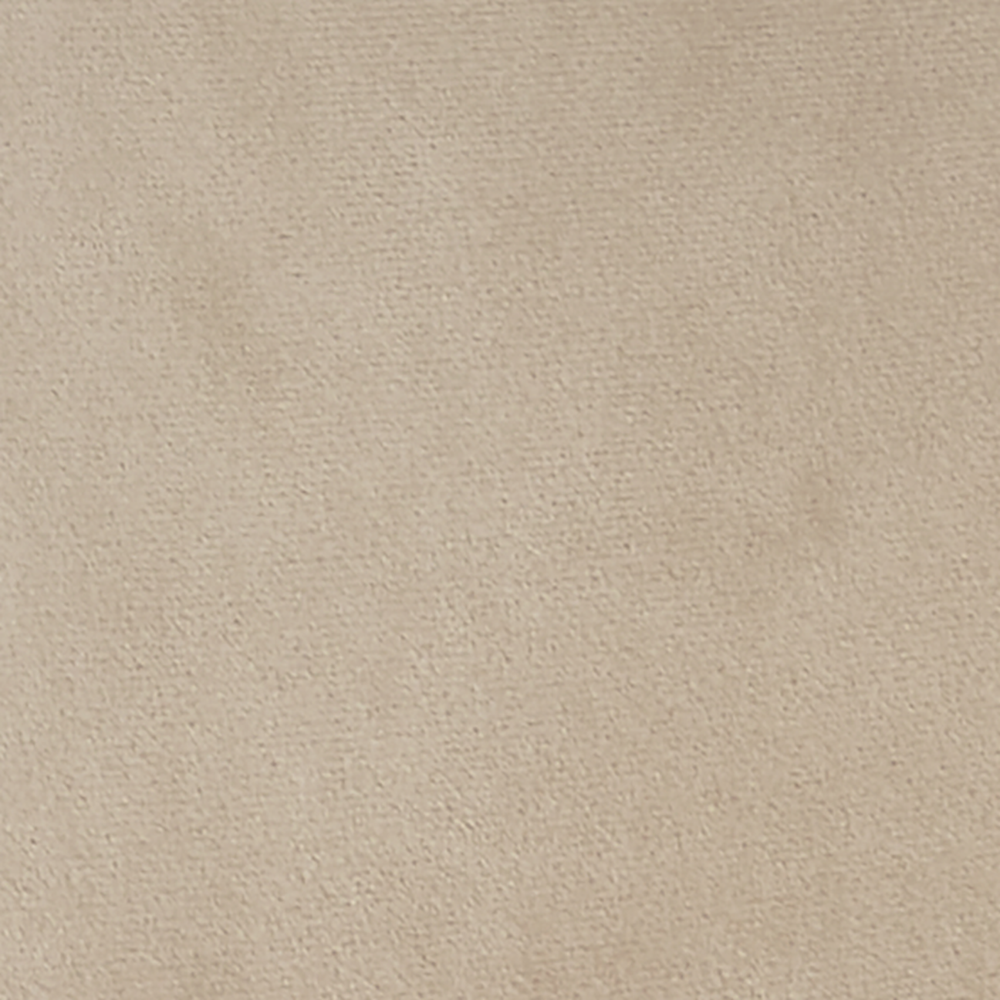 Ensemble de 2 chaises de salle à manger Oakley en velours champagne avec passepoil contrasté