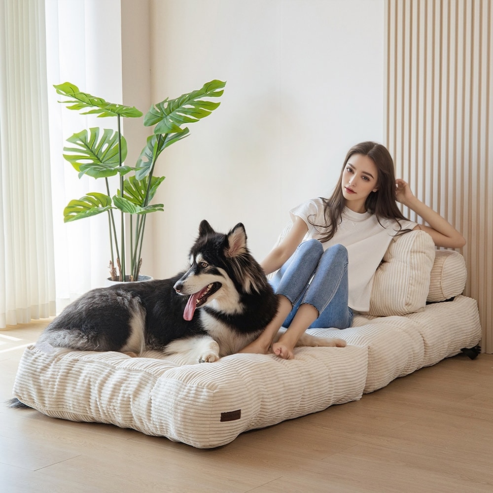 Canapé-lit pliant en velours côtelé, 8 places