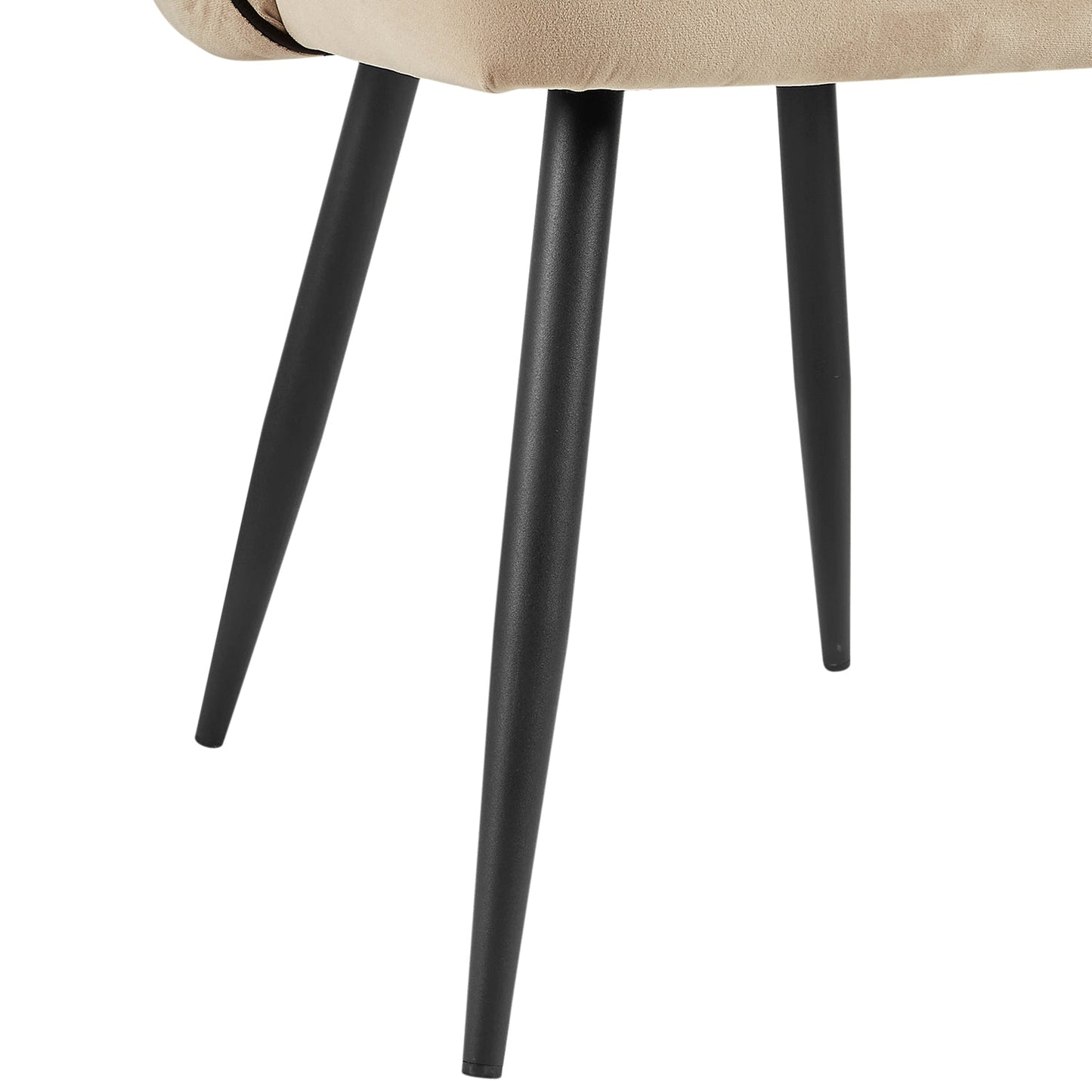 Ensemble de 2 chaises de salle à manger Oakley en velours champagne avec passepoil contrasté