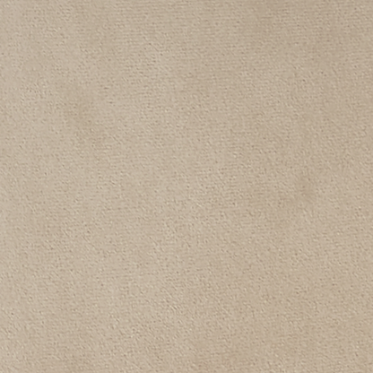 Ensemble de 2 chaises de salle à manger Oakley en velours champagne avec passepoil contrasté