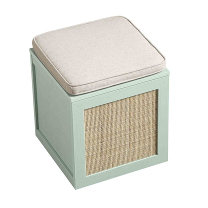 Tabouret de rangement simple en rotin tressé Frances avec coussin, menthe